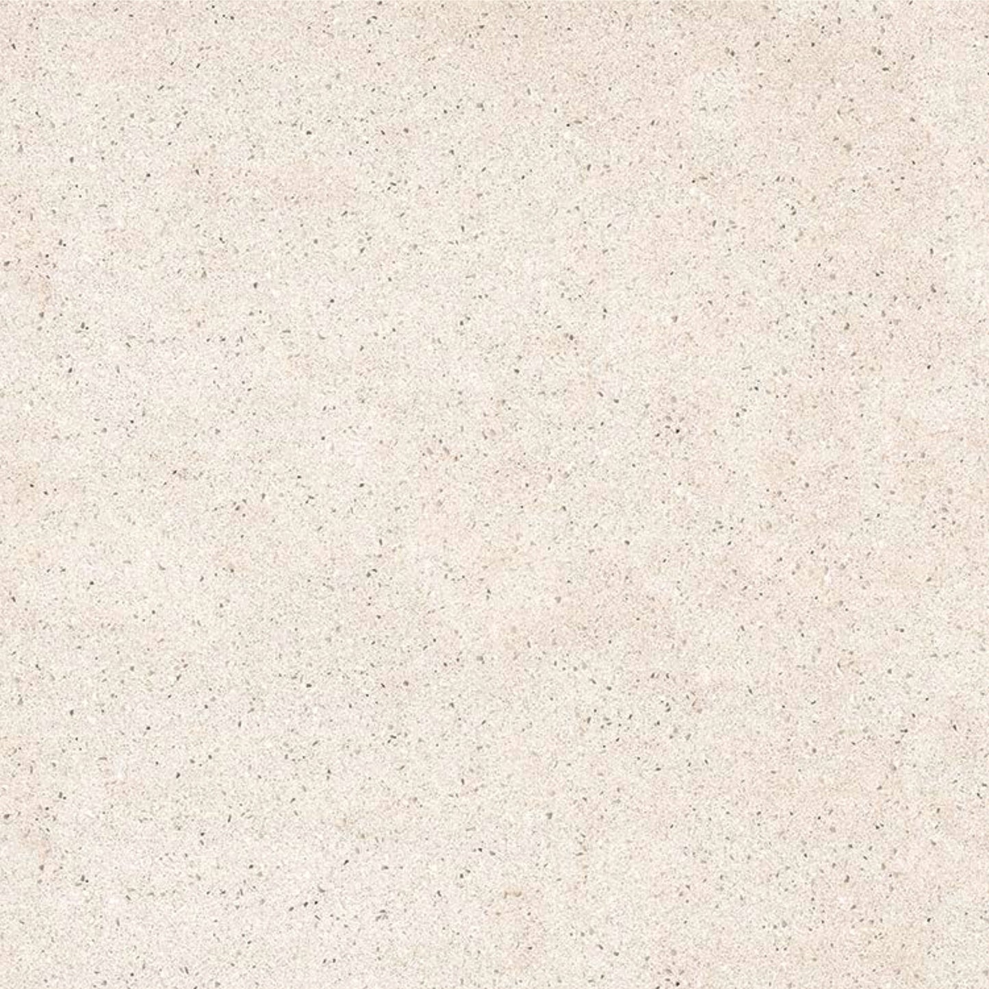 T13