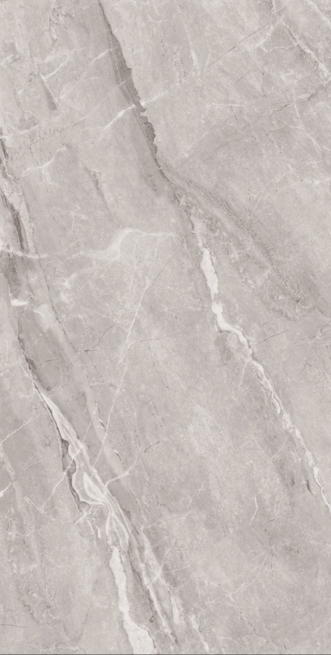 ASTONIA GREY