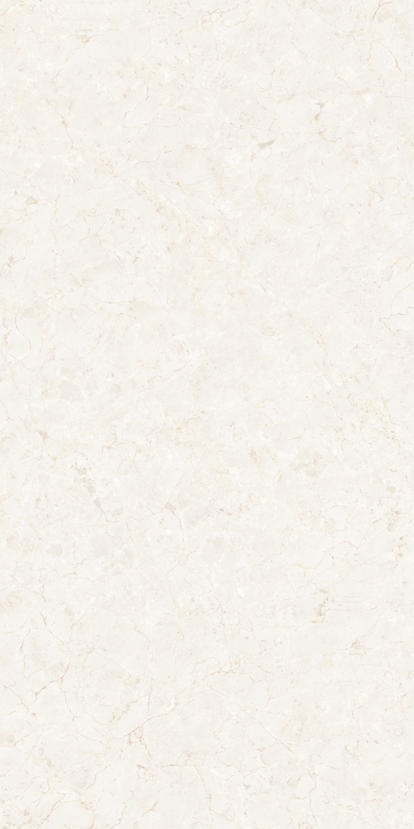 BLEND IVORY