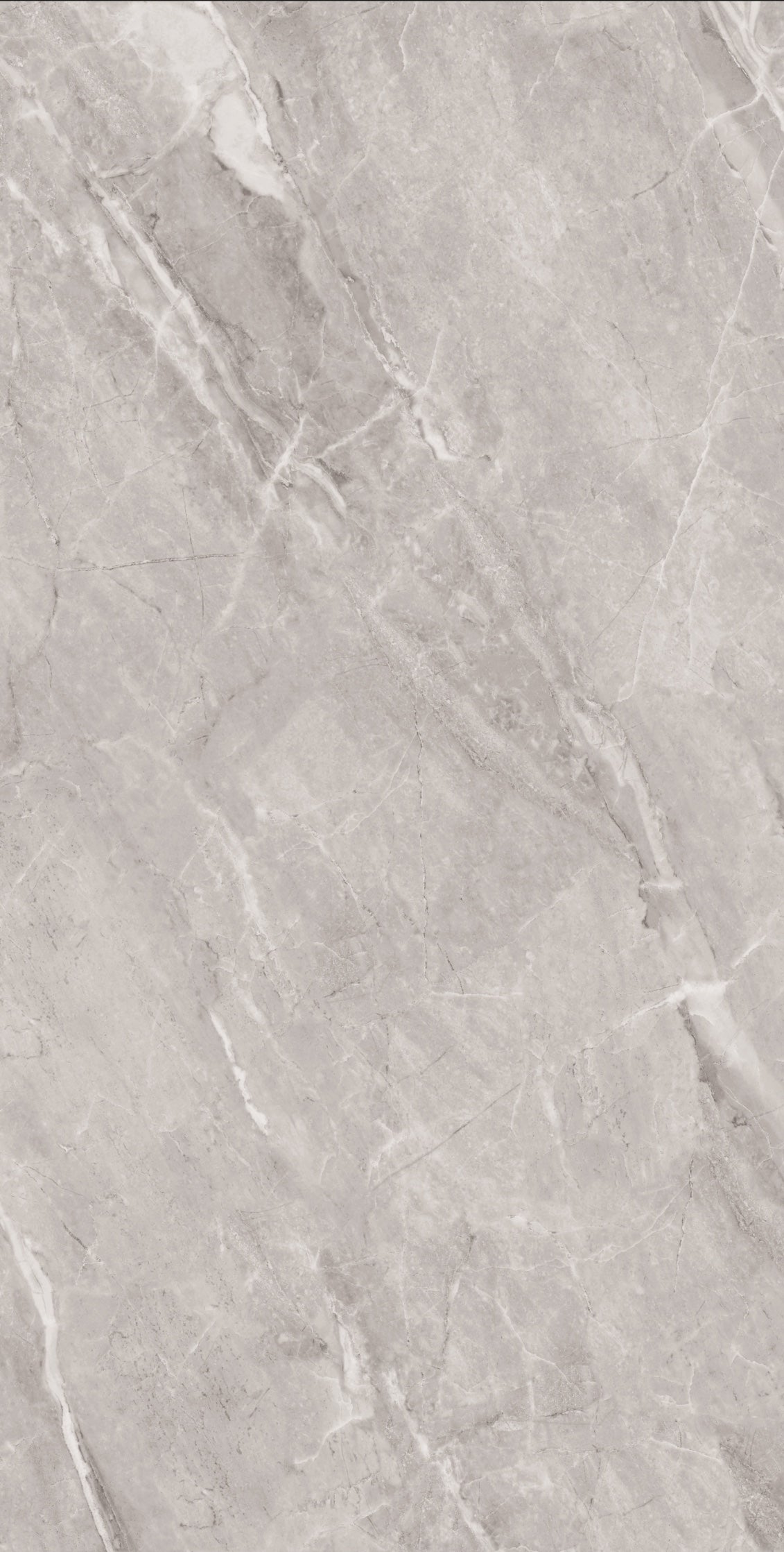 ASTONIA GREY