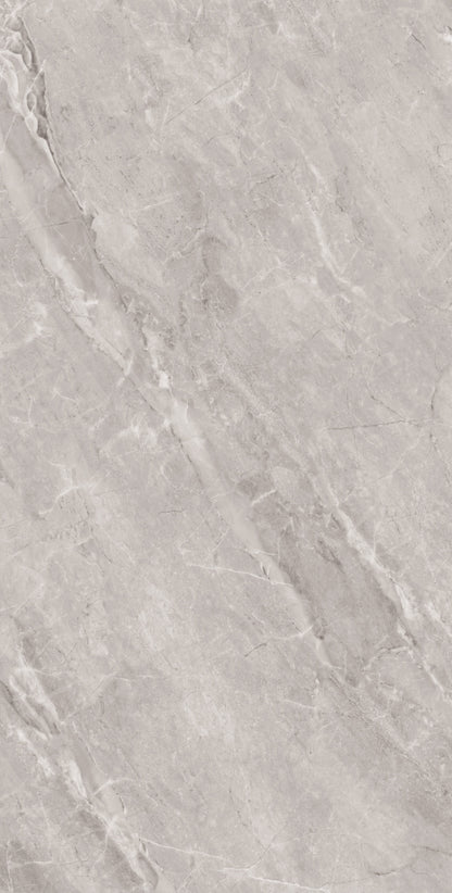 ASTONIA GREY